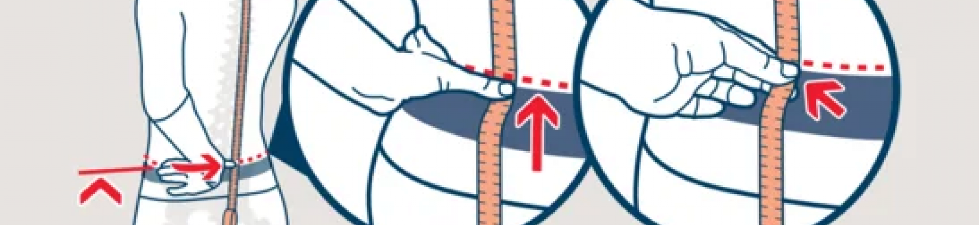 Kako izmeriti dolžino hrbta?